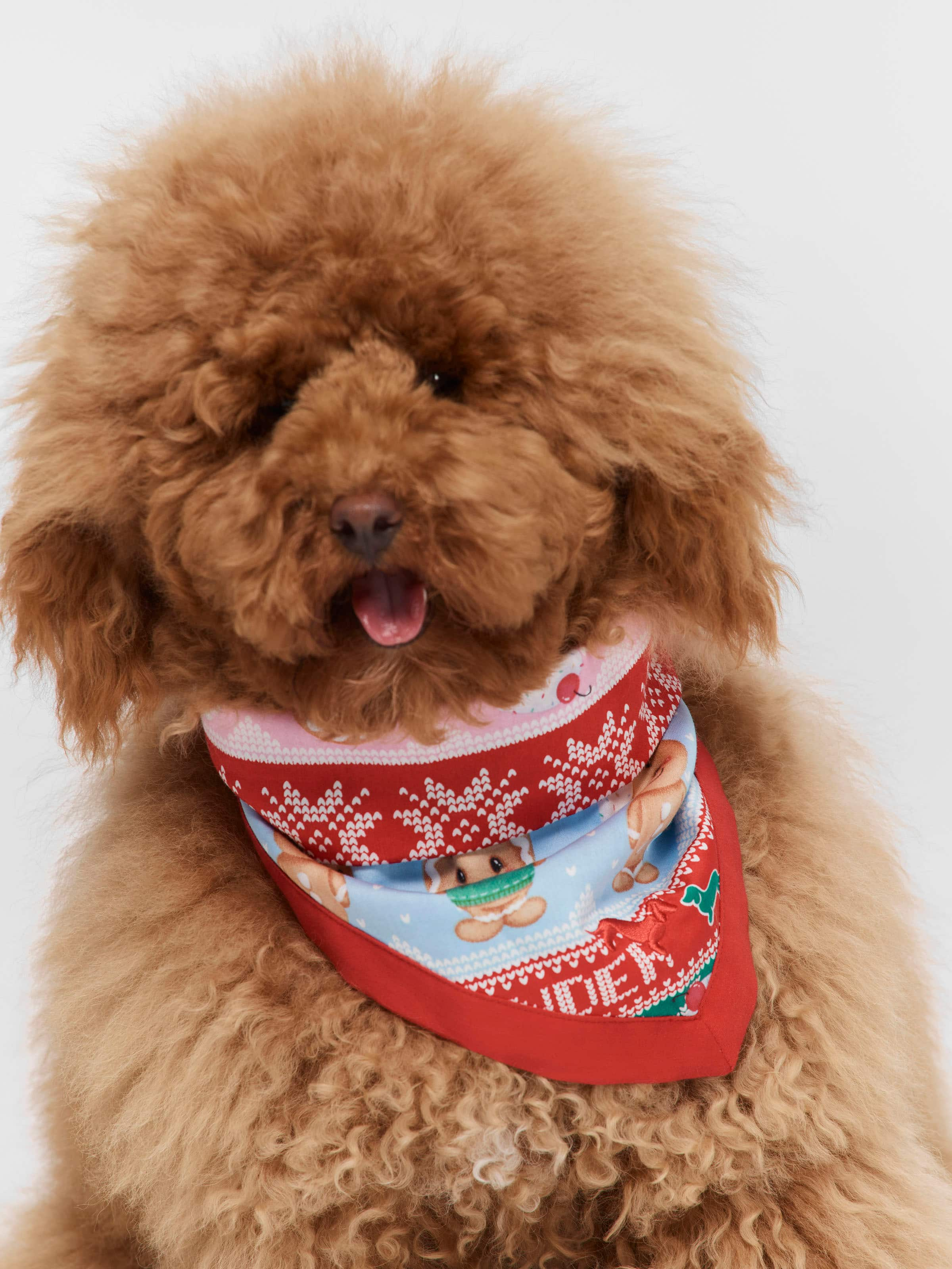 Peter alexander dog slippers online